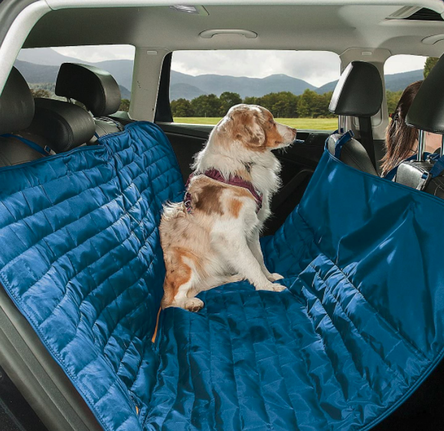 Dog car hot sale hammock argos